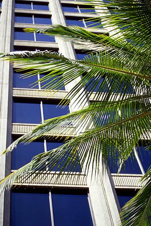 理想のリノベを実現してくれます