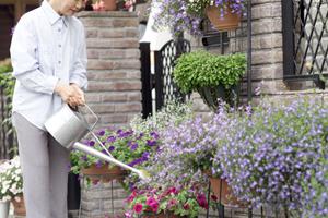 ジップラインの設計からメンテナンスまで