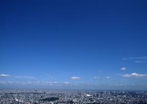 シンプルで女性受けするオシャレなデザイン