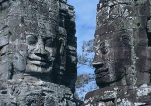 大阪市で壁紙張替えを成功させるための完全ガイド｜高品質・低価格・迅速対応の施工業者選び