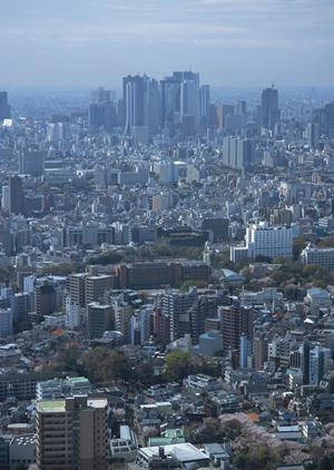 防水の補修工事を行っている千葉株式会社ハラカワ